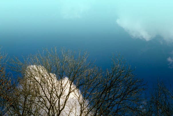 foto-home